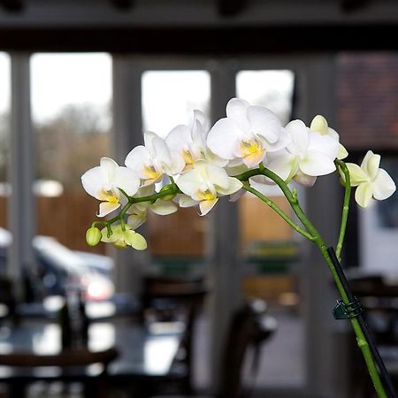 The Maple Manor Hotel ครอว์ลีย์ ภายนอก รูปภาพ